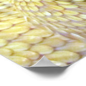 Poster Albino RattleSnake (Coin)