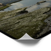 Poster Albrecht (Coin)