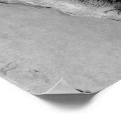 Poster Albrecht Durer (Coin)