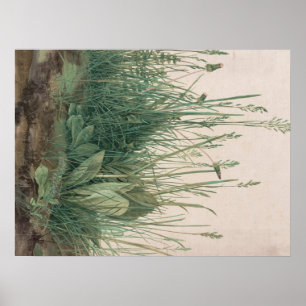 Poster Albrecht Durer