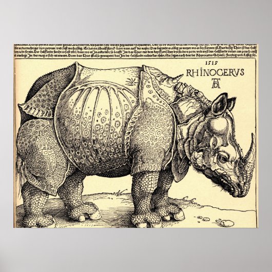 Poster Albrecht Durer Esquisse (Devant)