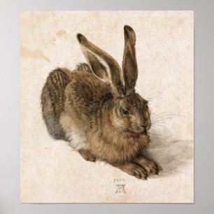 Poster Albrecht Dürer - Junger Hase (jeune lièvre), 1502