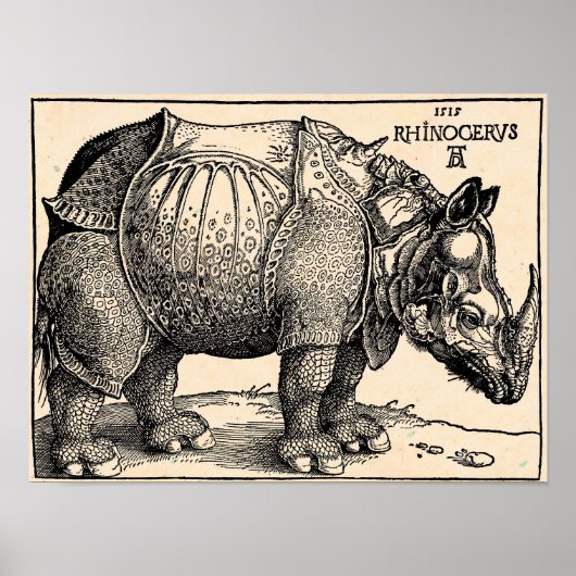 Poster Albrecht Dürer Rhinoceros (Devant)