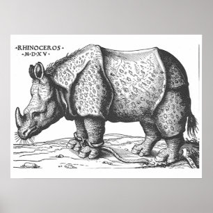 Poster Albrecht Durer - Rhinoceros