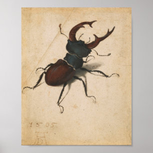 Poster Albrecht Durer Stag Beetle Renaissance Art Vintage