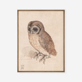 Poster Albrecht Durer The Little Owl Art