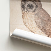 Poster Albrecht Durer The Little Owl Art