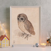 Poster Albrecht Durer The Little Owl Art