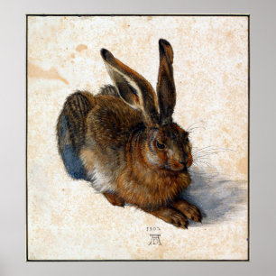 Poster Albrecht Durer Young Hare
