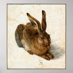 Poster ALBRECHT DÜRER - Young hare 1502