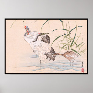 Poster Album d'oiseaux et de fleurs, Wading Cranes Art vi
