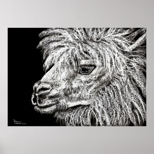 Poster alcapa (Devant)