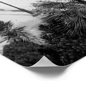 Poster Alcazar Hotel, St Augustine, Floride, 1903 (Coin)