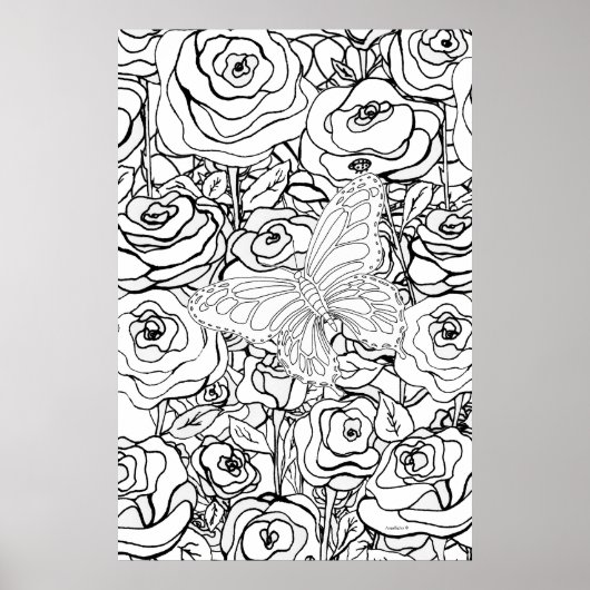 Poster Alchimie du papillon (Devant)