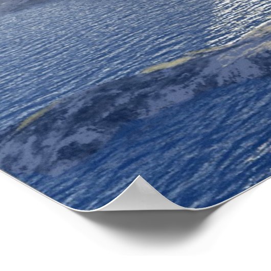 Poster Aléoutiennes (Coin)