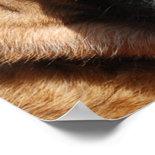 Poster Alert German Shepherd (Coin)