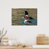 Poster Alert Goldeneye (Cuisine)