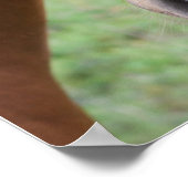 Poster Alerte Brown Horse Gros plan (Coin)