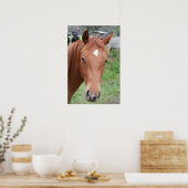 Poster Alerte Brown Horse Gros plan (Cuisine)