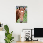Poster Alerte Brown Horse Gros plan (Bureau à domicile)