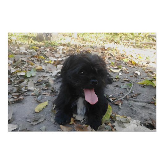 Poster Alerte chiot mignon (Devant)