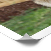 Poster Alerte de siège du berger allemand (Coin)