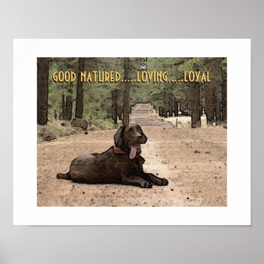 Poster Alerte Labrador chocolat sur un sentier forestier (Devant)