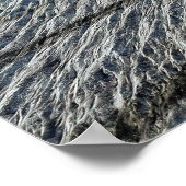 Poster Aletsch (Coin)