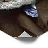 Poster Alexander Graham Bell (Coin)