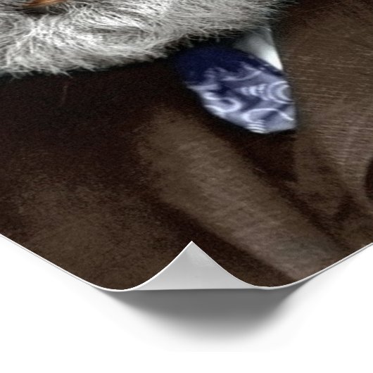 Poster Alexander Graham Bell (Coin)