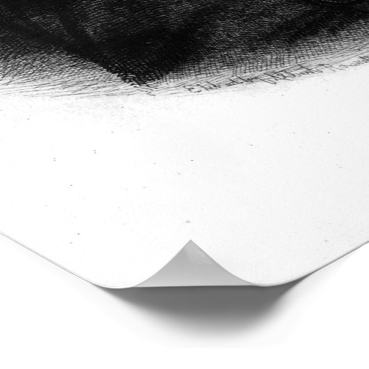 Poster Alexander Hamilton (Coin)