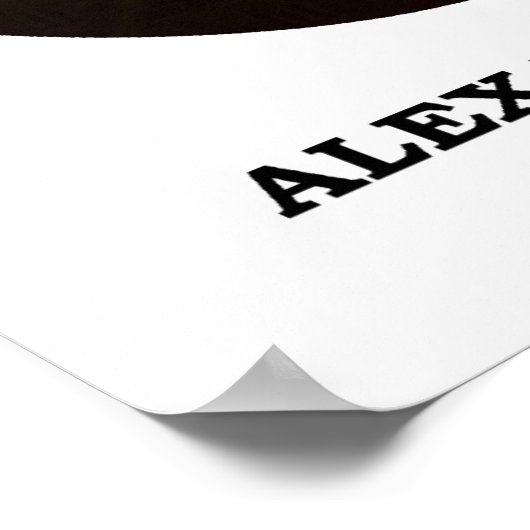 Poster Alexander Hamilton Gouvernement Contrainte de pass (Coin)