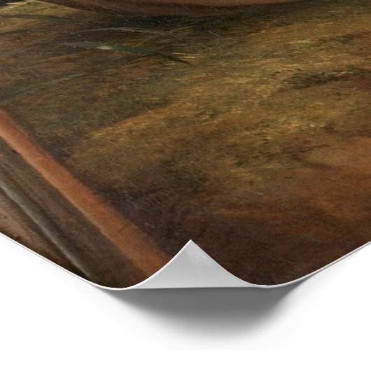 Poster Alexander von Humboldt (Coin)