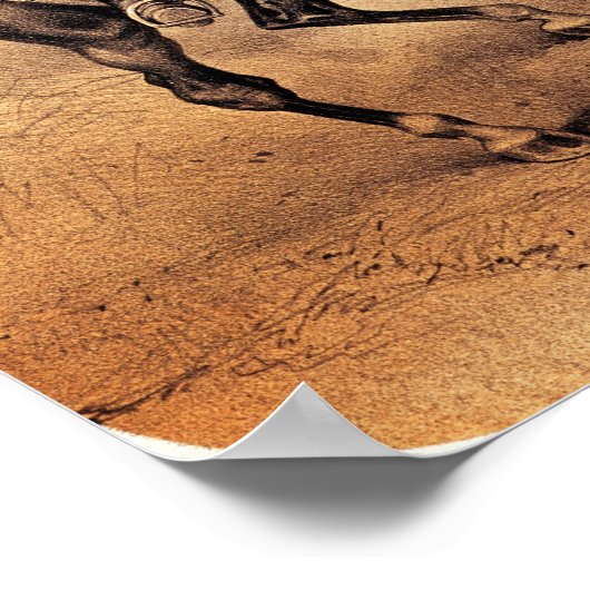 Poster Alexandre II Tsar de Russie (Coin)