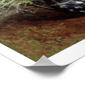 Poster Alfred Sisley | Still Life of Wild Flower (Coin)