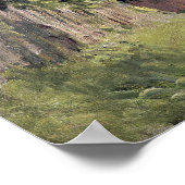 Poster Alfred Sisley | Une route à Louveciennes (Coin)