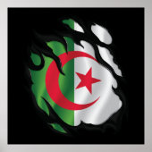 Poster Algérie - Drapeau déchiré (Devant)