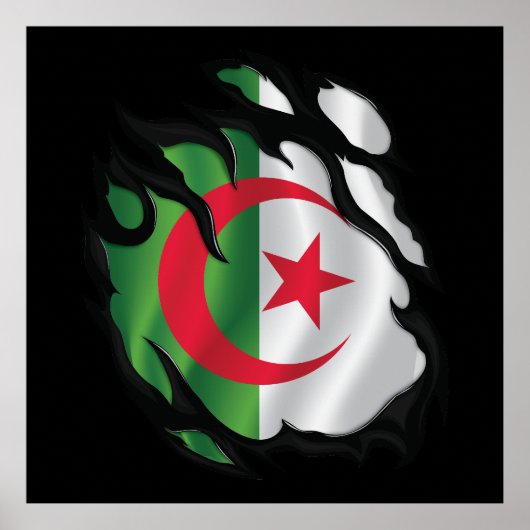 Poster Algérie - Drapeau déchiré (Devant)