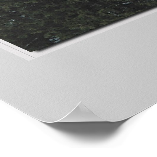 Poster Algocape (Coin)