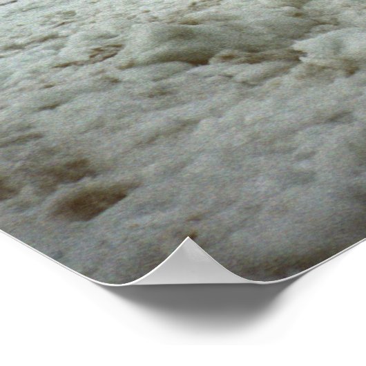 Poster Algocen sur la rivière St. Clair (Coin)