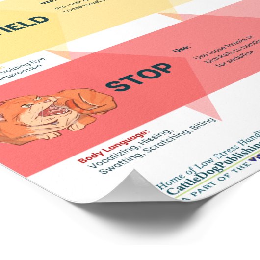 Poster Algorithme de traitement de faible contrainteMD de (Coin)