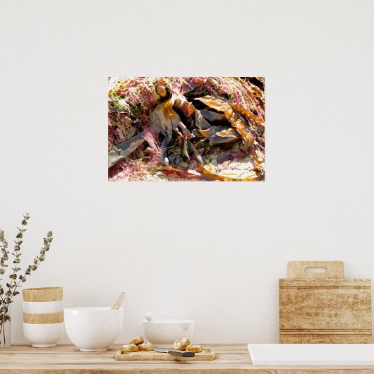 POSTER ALGUES (Cuisine)