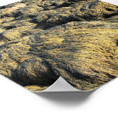 Poster algues (Coin)