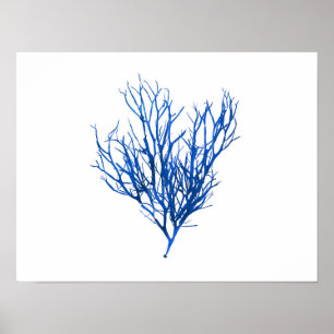 Poster Algues bleues #10 42x32 cm
