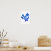 Poster Algues bleues Imprimer no 4 Botanique Côtière Impr (Cuisine)