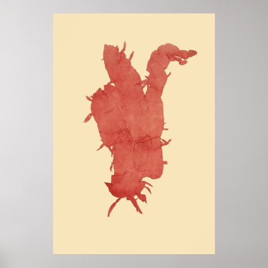 Poster Algues Pressées Original Deuxième De Quatre (Devant)