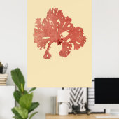 Poster Algues Pressées Original Troisième De Quatre (Bureau à domicile)