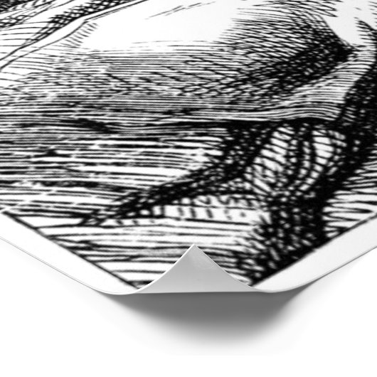 Poster Alice dans la maison du lapin blanc (Coin)