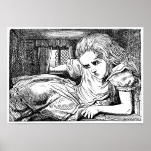 Poster Alice dans la maison du lapin blanc