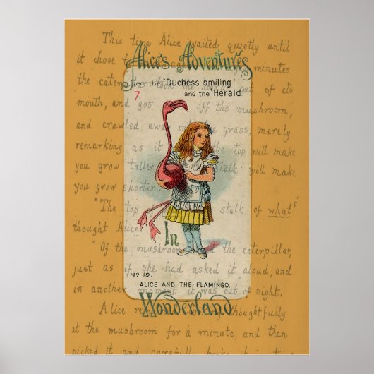 Poster Alice et le Flamant rose (Devant)
